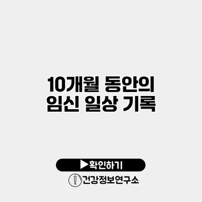 10개월 동안의 임신 일상 기록