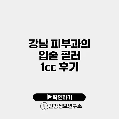 강남 피부과의 입술 필러 1cc 후기