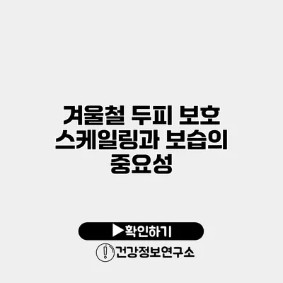 겨울철 두피 보호 스케일링과 보습의 중요성