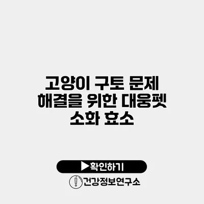 고양이 구토 문제 해결을 위한 대웅펫 소화 효소