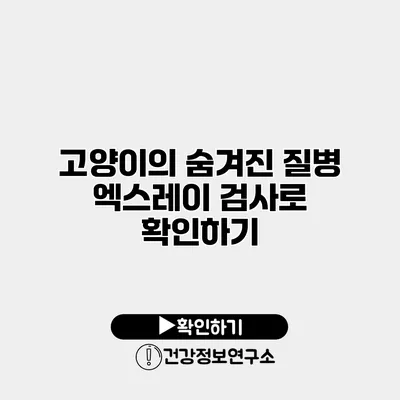 고양이의 숨겨진 질병 엑스레이 검사로 확인하기