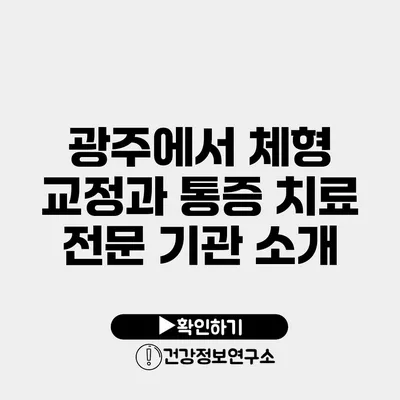 광주에서 체형 교정과 통증 치료 전문 기관 소개