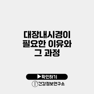 대장내시경이 필요한 이유와 그 과정