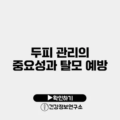 두피 관리의 중요성과 탈모 예방