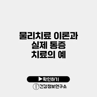 물리치료 이론과 실제 통증 치료의 예