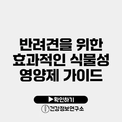 반려견을 위한 효과적인 식물성 영양제 가이드
