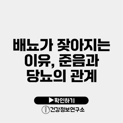 배뇨가 잦아지는 이유, 준음과 당뇨의 관계
