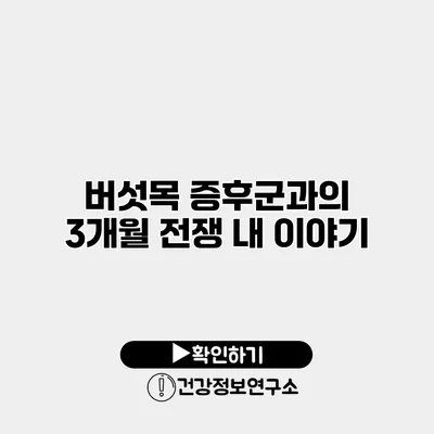 버섯목 증후군과의 3개월 전쟁 내 이야기