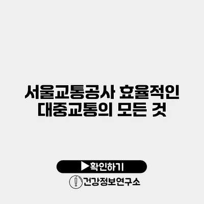 서울교통공사 효율적인 대중교통의 모든 것