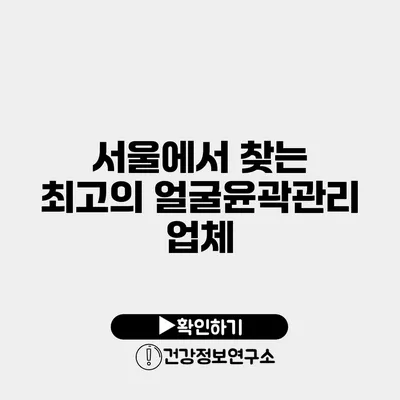 서울에서 찾는 최고의 얼굴윤곽관리 업체
