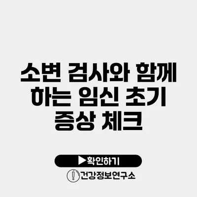 소변 검사와 함께 하는 임신 초기 증상 체크