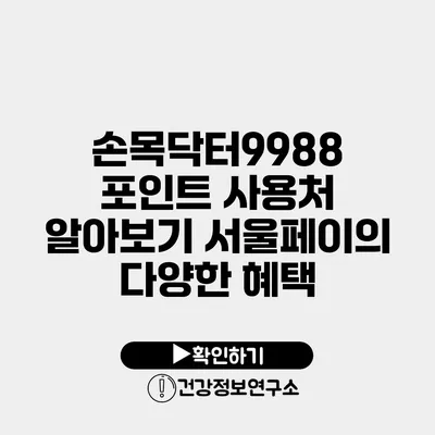 손목닥터9988 포인트 사용처 알아보기 서울페이의 다양한 혜택