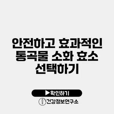 안전하고 효과적인 통곡물 소화 효소 선택하기