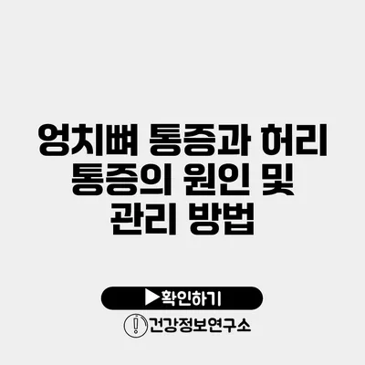 엉치뼈 통증과 허리 통증의 원인 및 관리 방법