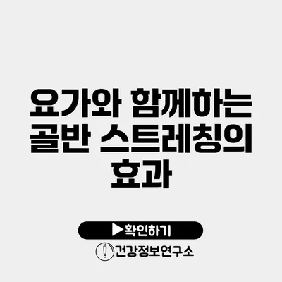 요가와 함께하는 골반 스트레칭의 효과