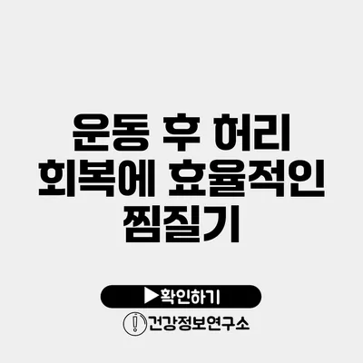 운동 후 허리 회복에 효율적인 찜질기