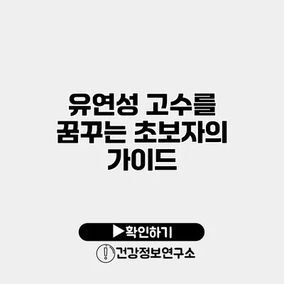 유연성 고수를 꿈꾸는 초보자의 가이드