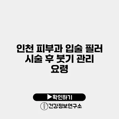 인천 피부과 입술 필러 시술 후 붓기 관리 요령