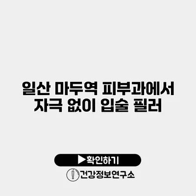 일산 마두역 피부과에서 자극 없이 입술 필러