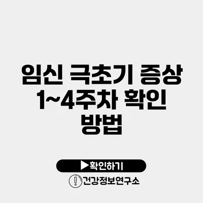 임신 극초기 증상 1~4주차 확인 방법