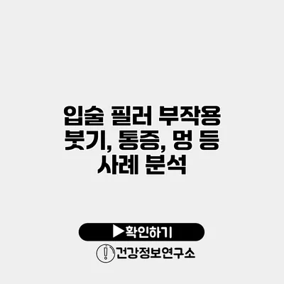 입술 필러 부작용 붓기, 통증, 멍 등 사례 분석