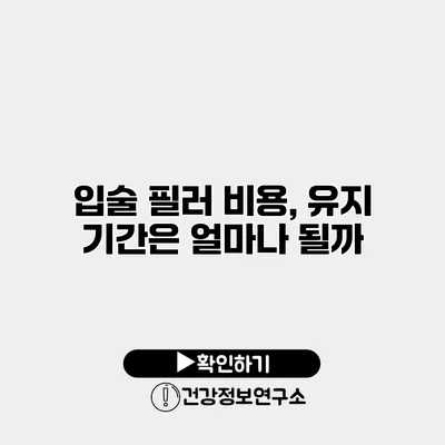 입술 필러 비용, 유지 기간은 얼마나 될까?