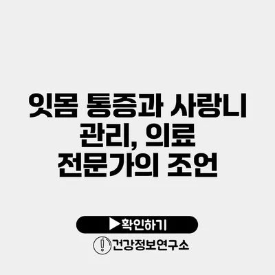 잇몸 통증과 사랑니 관리, 의료 전문가의 조언