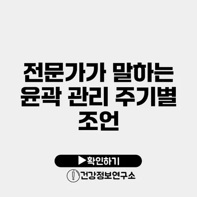 전문가가 말하는 윤곽 관리 주기별 조언