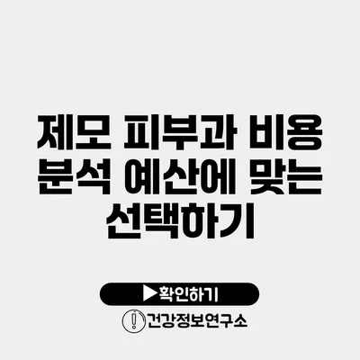 제모 피부과 비용 분석 예산에 맞는 선택하기