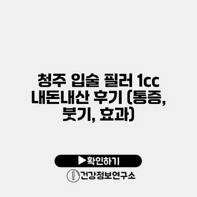 청주 입술 필러 1cc 내돈내산 후기 (통증, 붓기, 효과)