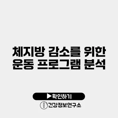 체지방 감소를 위한 운동 프로그램 분석