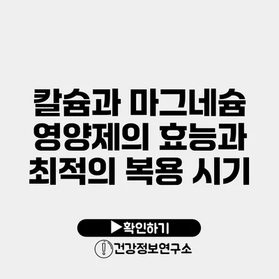 칼슘과 마그네슘 영양제의 효능과 최적의 복용 시기