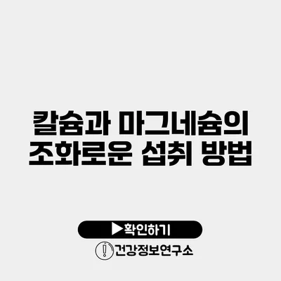 칼슘과 마그네슘의 조화로운 섭취 방법