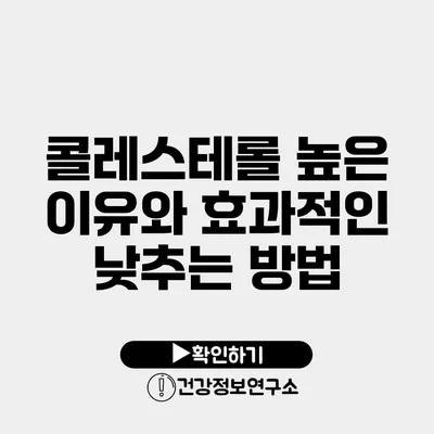 콜레스테롤 높은 이유와 효과적인 낮추는 방법