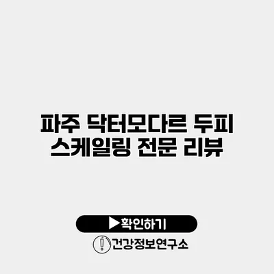 파주 닥터모다르 두피 스케일링 전문 리뷰