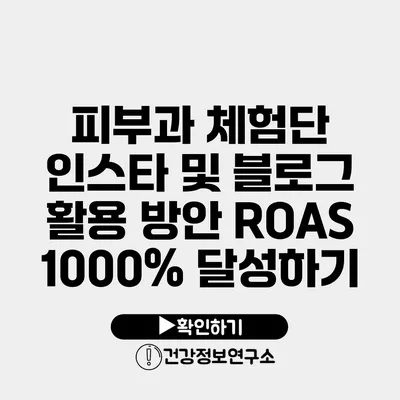 피부과 체험단 인스타 및 블로그 활용 방안 ROAS 1000% 달성하기