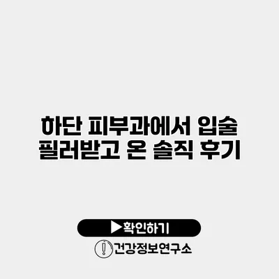 하단 피부과에서 입술 필러받고 온 솔직 후기