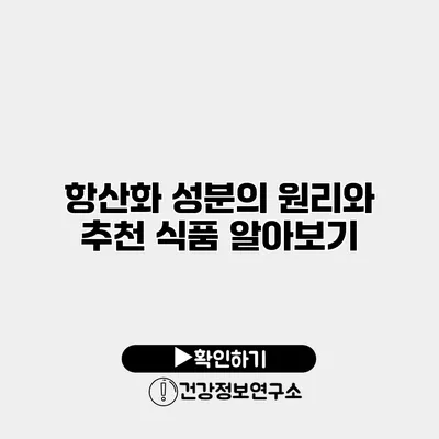항산화 성분의 원리와 추천 식품 알아보기