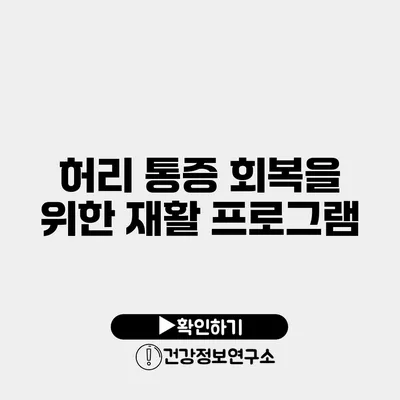 허리 통증 회복을 위한 재활 프로그램