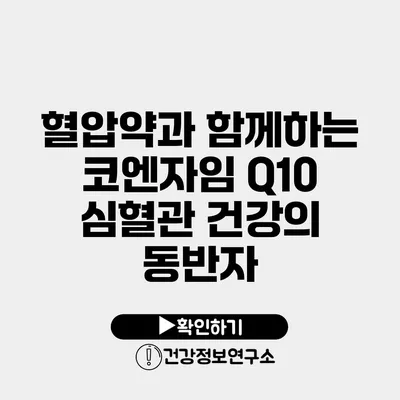 혈압약과 함께하는 코엔자임 Q10 심혈관 건강의 동반자