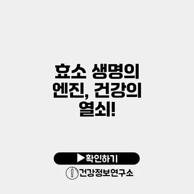 효소 생명의 엔진, 건강의 열쇠!