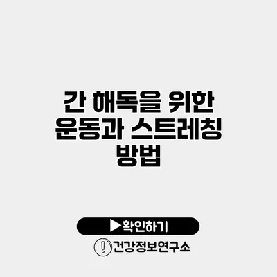 간 해독을 위한 운동과 스트레칭 방법