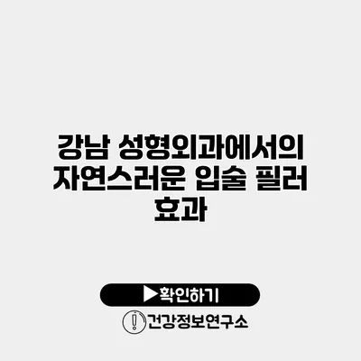 강남 성형외과에서의 자연스러운 입술 필러 효과