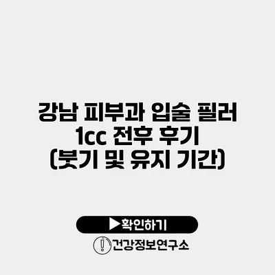 강남 피부과 입술 필러 1cc 전후 후기 (붓기 및 유지 기간)