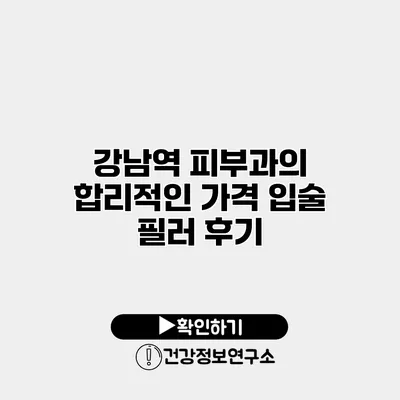 강남역 피부과의 합리적인 가격 입술 필러 후기
