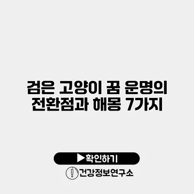 검은 고양이 꿈 운명의 전환점과 해몽 7가지