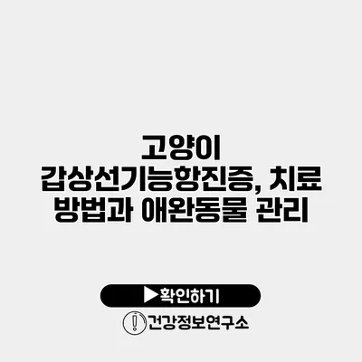 고양이 갑상선기능항진증, 치료 방법과 애완동물 관리