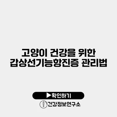 고양이 건강을 위한 갑상선기능항진증 관리법