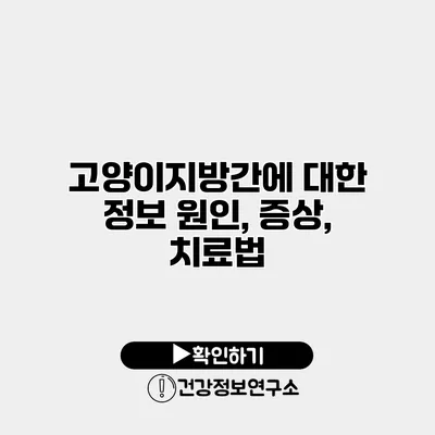 고양이지방간에 대한 정보 원인, 증상, 치료법