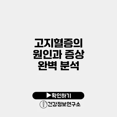 고지혈증의 원인과 증상 완벽 분석